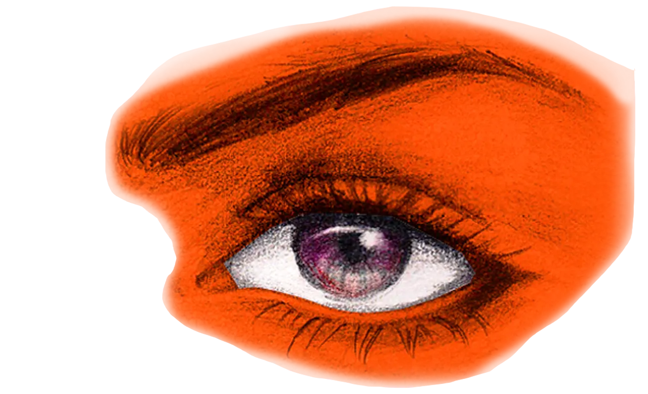 Daily Disposable Contact Lenses